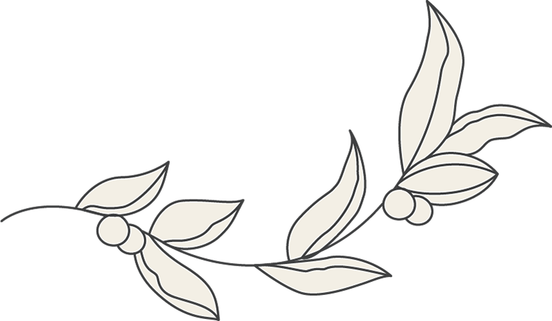 Logo d’ouverture